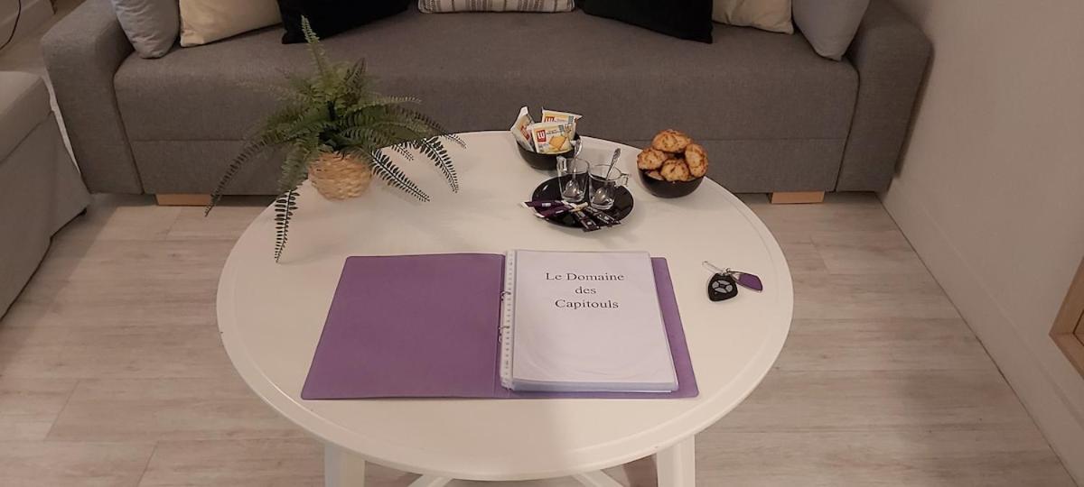 Les Capitouls - Avec Entree Autonome, Clim Neuve, Jardin, Parking Prive & Sa Piscine ! - Διαμέρισμα Τουλούζη Εξωτερικό φωτογραφία